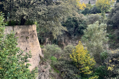 تبليسي: الشلالات والتلفريك وفرص التقاط الصور الخلابةتبليسي: شلالات وتلفريك وفرص لالتقاط صور خلابة