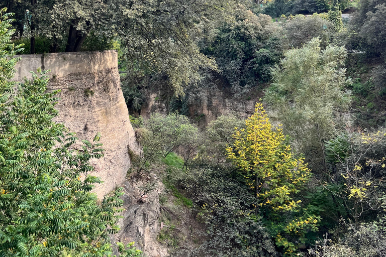 تبليسي: الشلالات والتلفريك وفرص التقاط الصور الخلابةتبليسي: شلالات وتلفريك وفرص لالتقاط صور خلابة