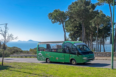 Från Rom: Pompeji och Vesuvio Guidad dagsutflykt med lunchFrån Rom: Pompeji och Vesuvius Guidad dagsutflykt med lunch