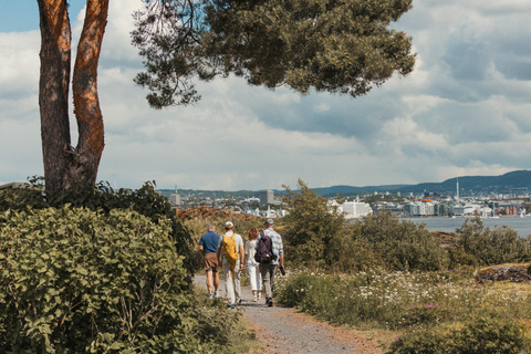 Oslo : Circuit dans les îles