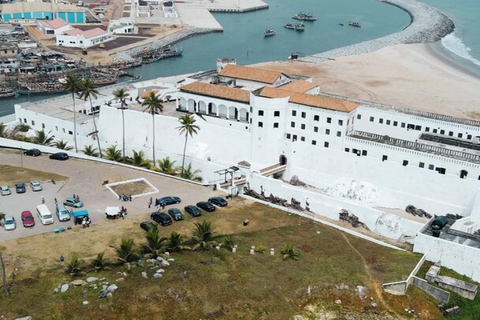 Excursión de un día a la Costa del Cabo