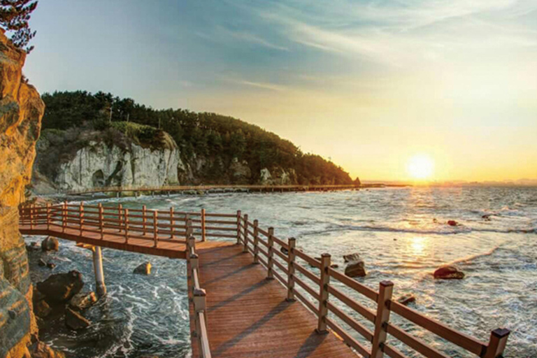 From Busan: Private Pohang Day Trip with Hotel Pickup From Busan: Private Pohang Day Trip (Driver Only)
