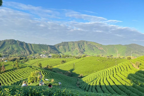 Shanghai: Crouching Tiger Bamboo Forest & White Tea Trip