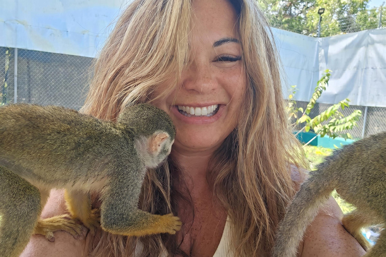 Puerto Plata: Monkey Home Sanctuary Tour with Pickup