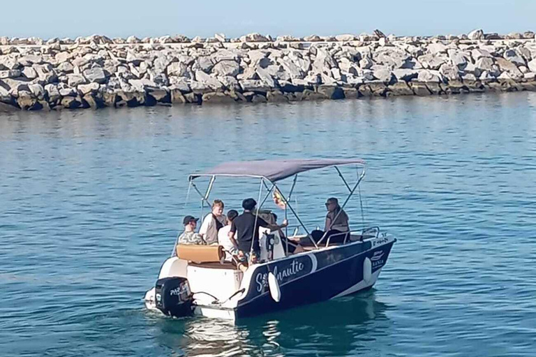 ماربيا: تأجير قوارب بدون ترخيص لمشاهدة الدلافينإيجار لمدة 30 دقيقة