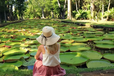 Tour Nord: Port Louis, Caudan, Cittadella, Giardino Botanico