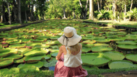 North Tour, Port Louis, Caudan, Citadelle, Botanical Garden - Housity