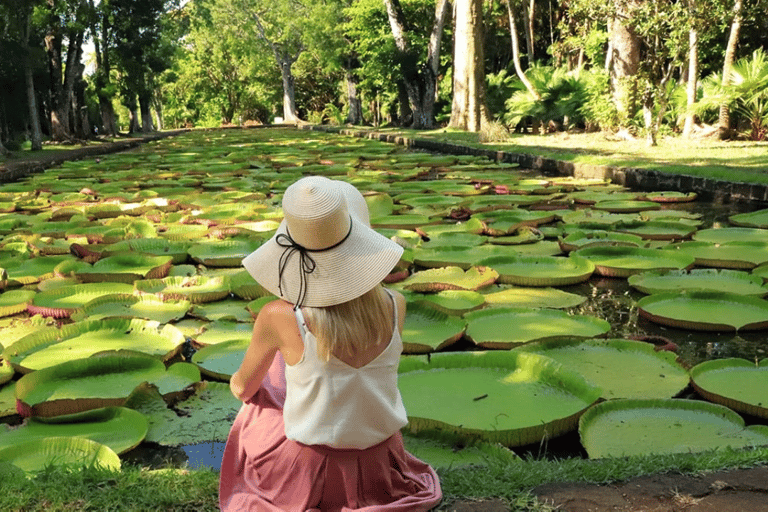 Tour du Nord : Port Louis, Caudan, Citadelle, Jardin Botanique