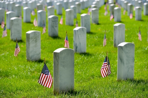Arlington National Cemetery: Guided Walking Tour Arlington National Cemetery Semi-Private Tour in English