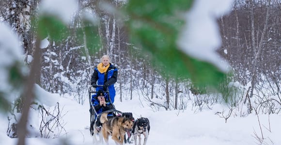 Tromsø: Dog Sledding Adventure at Camp Aspemo