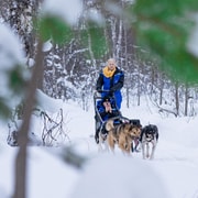 Tromsø: Dog Sledding Adventure at Camp Aspemo