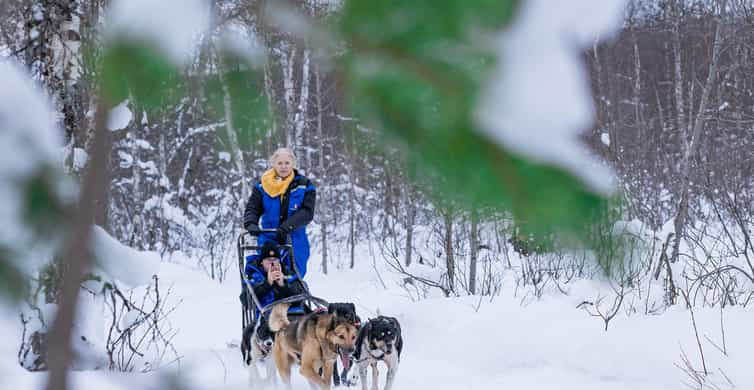 Traîneau à chiens au camp Aspemo