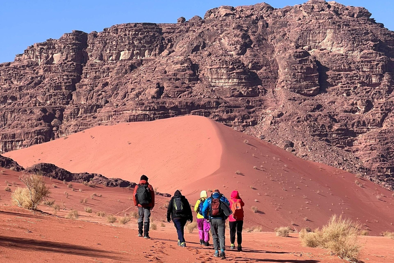Wadi Rum: Half-day 4x4 Tour with Sandboarding and Canyons