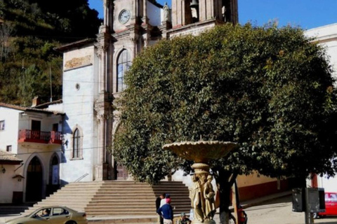 Tour das borboletas-monarca no México: Serra Chincua e AngangueoPrivado