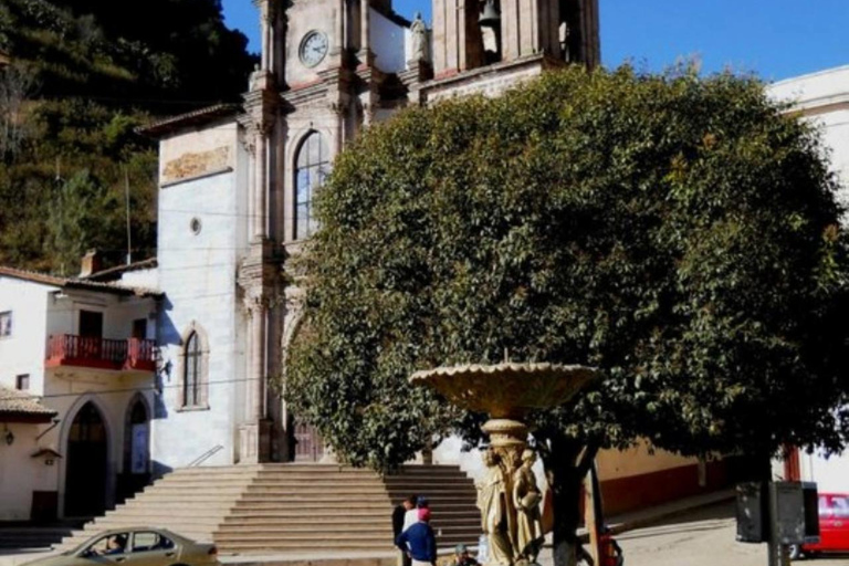 Tour delle farfalle monarca in Messico: Sierra Chincua e AngangueoPrivato