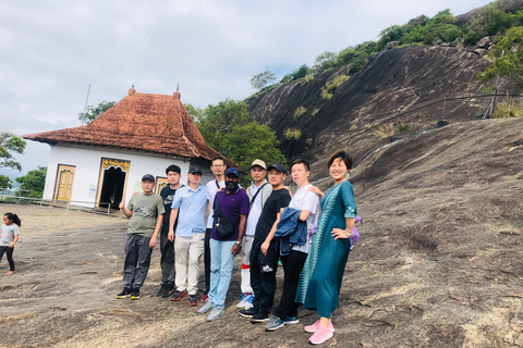 Sigiriya et Dambulla visite privée d&#039;une jounéeCircuit au départ de la région de Negombo