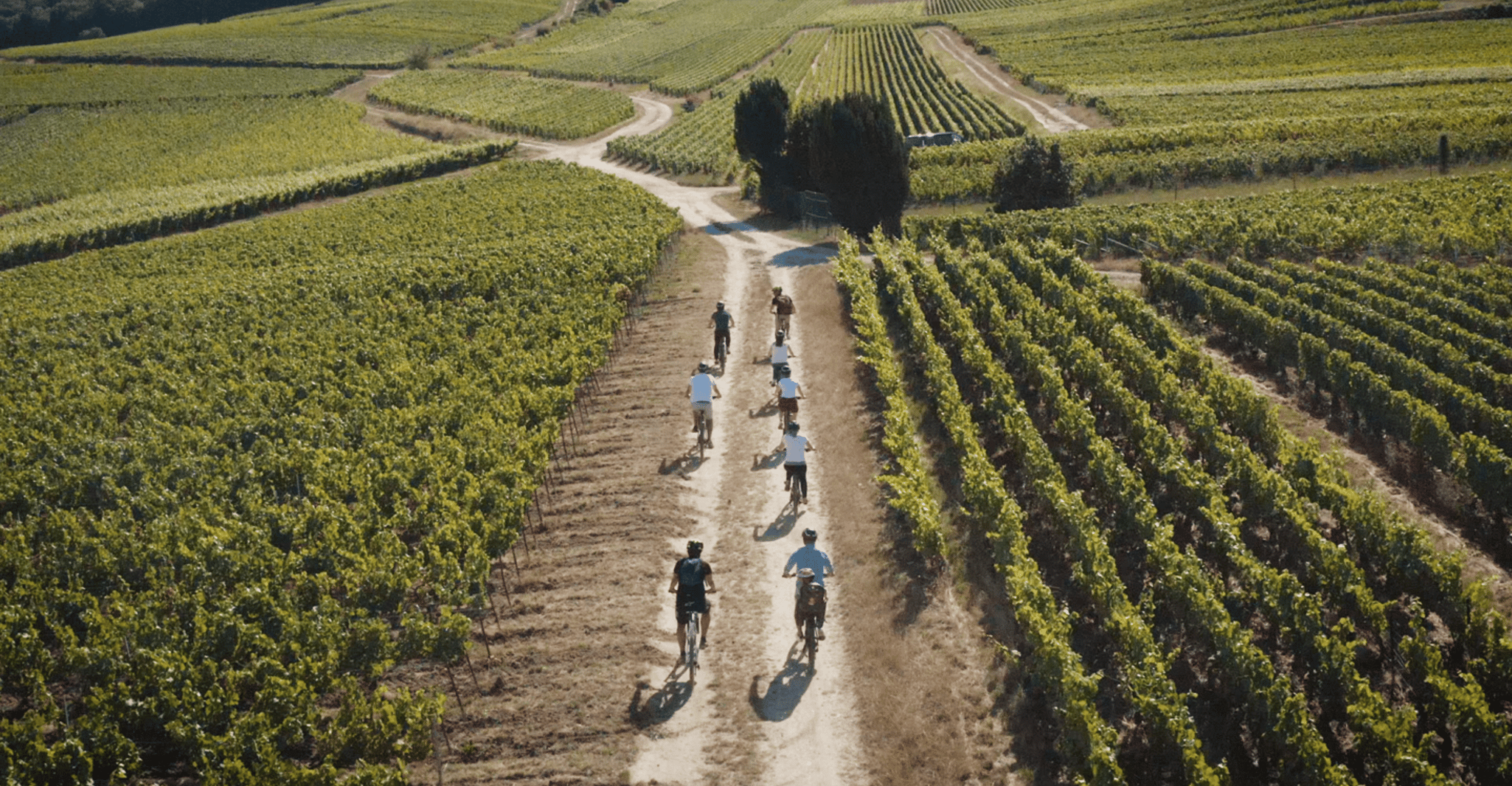 Champagne region , Ebike tour with a local guide ! - Housity