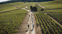 Champagne region , Ebike tour with a local guide ! - Housity