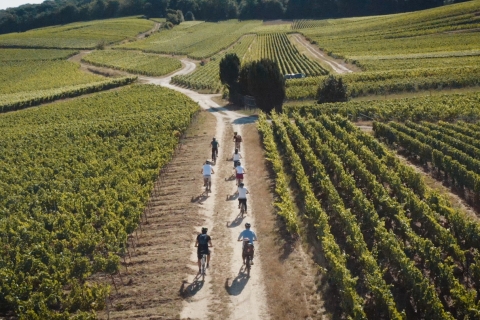 Champagne region : Ebike tour with a local guide !