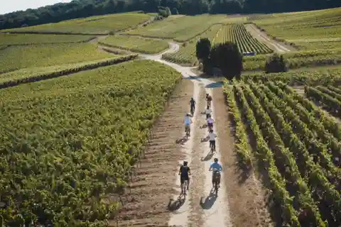 Região de Champagne: passeio de Ebike com um guia local!