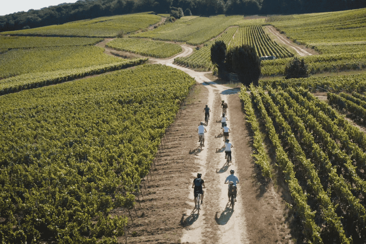 Au départ de REIMS : Ebike tour with a local guide !