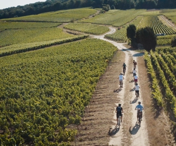 Alla partenza di REIMS : Tour in ebike con una guida locale!