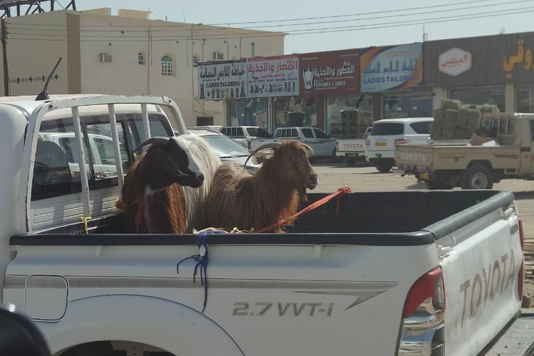 Muscat: Visit Sinaw Market, Izki Village, & Jarnan Cave Tour