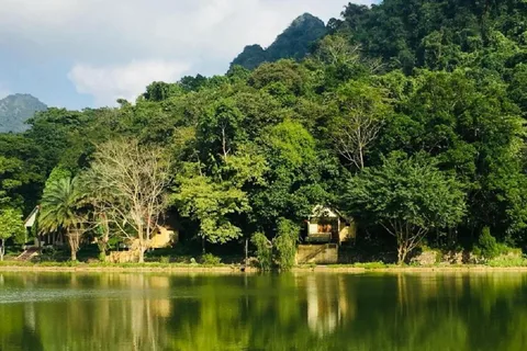 From Ninh Binh: Cuc Phuong National Park Full Day Trip