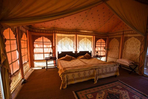 Jodhpur: Luksusowa wyprawa na pustynię z jazdą na wielbłądzie i ucztąJodhpur: luksusowa wyprawa na pustynię z jazda na wielbłądzie i ucztą