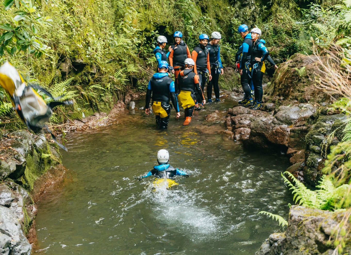 Funchal: Halvdags begyndervenlig canyoning-oplevelse