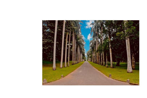 Kandy : All Inclusive City Tour By Tuk Tuk