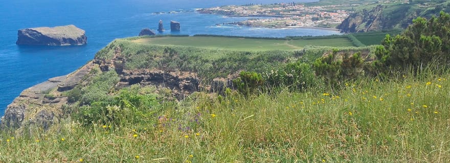 Visite privée demi-journée Sete Cidades et production d'ananas