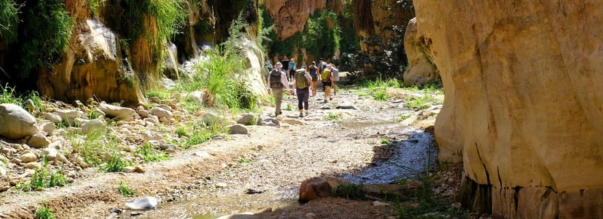 Randonnée d'une journée à Wadi Ghuweir avec un guide de la région et déjeuner