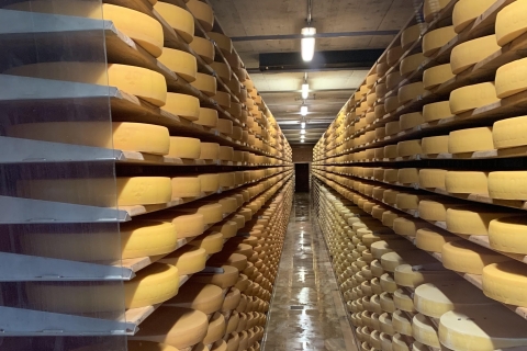 Berno: Zamek Gruyères, ser, czekolada - prywatna jednodniowa wycieczka