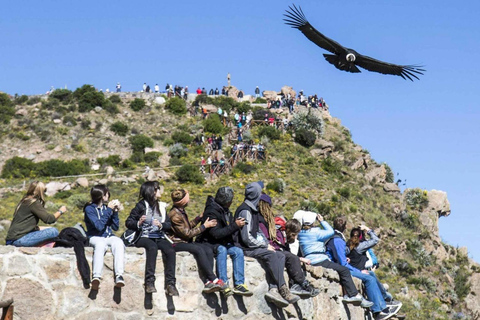 2-Day Colca Canyon Group Tour from Arequipa to Puno