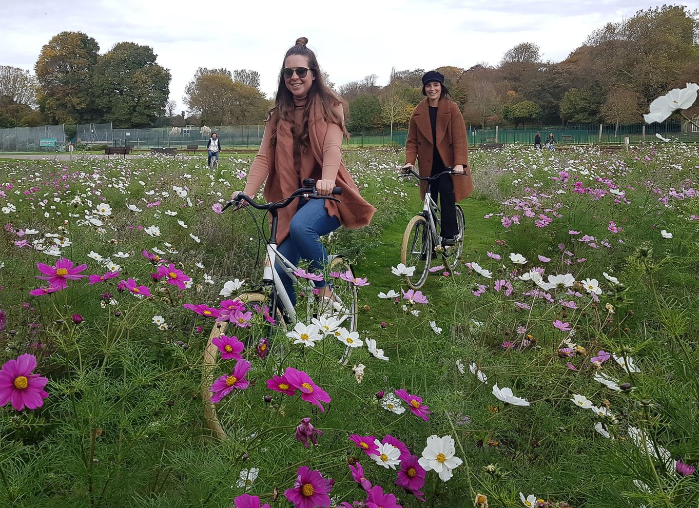 Brighton byrundvisning på cykel