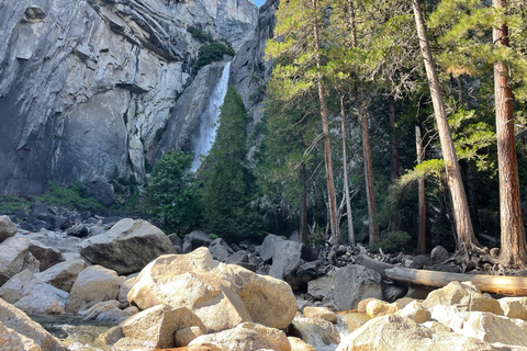 Yosemite, Séquoias géants, visite privée depuis San FranciscoYosemite privé, séquoias géants, depuis San Francisco