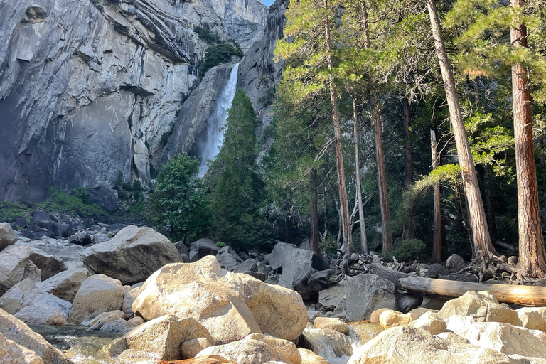 Yosemite, Séquoias géants, visite privée depuis San FranciscoYosemite privé, séquoias géants, depuis San Francisco