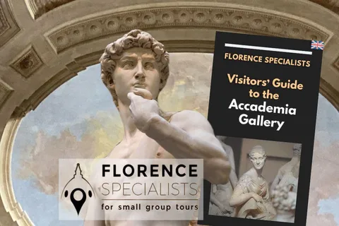 Timed Entry Ticket to Michelangelo's David & eBook