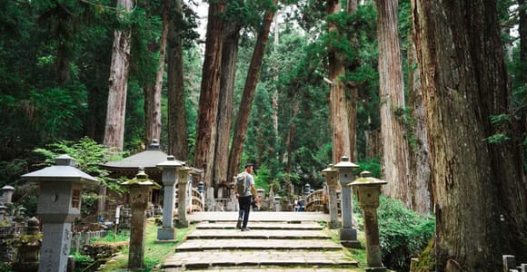 Mount Koya from Osaka: Cultural Small Group Day Tour