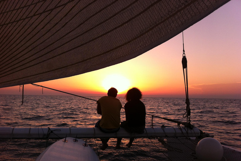 Port Camargue : Visite d&#039;une demi-journée à bord d&#039;un catamaran de coursePort Camargue : Excursion d&#039;une demi-journée à bord d&#039;un catamaran de course
