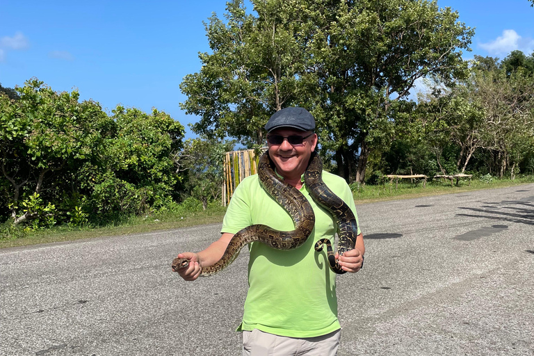 St. Lucia: Marigot Bay and Banana Plantation Tour