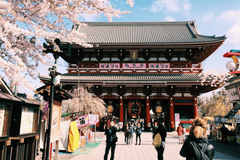 Tokyo Full Day Customizable Private Tour with English Guide