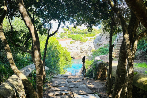 Cala en Blanes: Secret spots for the best dives with a local guide