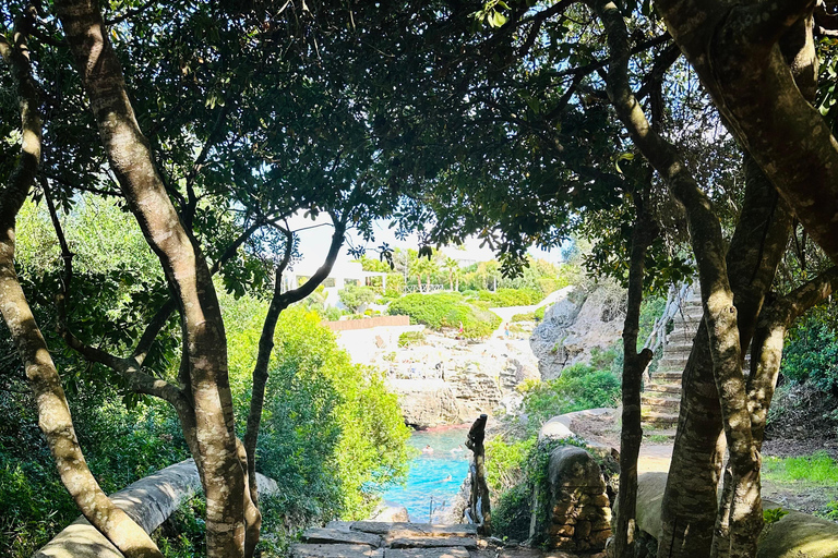 Cala en Blanes: Secret spots for the best dives with a local guide