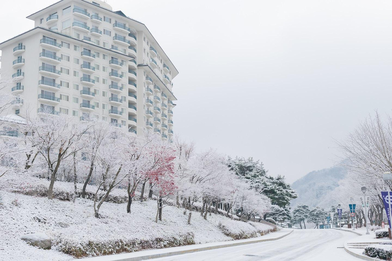 Seoul: Elysian Ski Resort & Eobi Ice Valley Depart from Hongik Univ. Station Exit 4