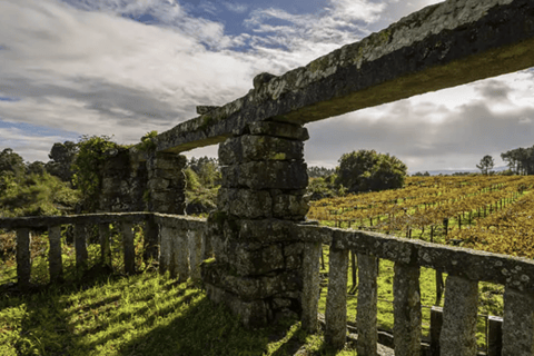 Galicia: Bodega Corisca Winery Tour and Wine Tasting
