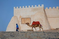 From Agadir or Taghazout, Cable Car Ticket and Optional Tour - Housity