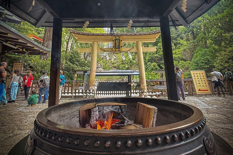 From Osaka/Kyoto: Mt. Koya & Nachi Falls Private Day Trip