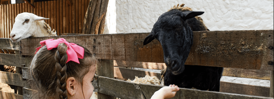 Billet d'accès au zoo de Barranquilla